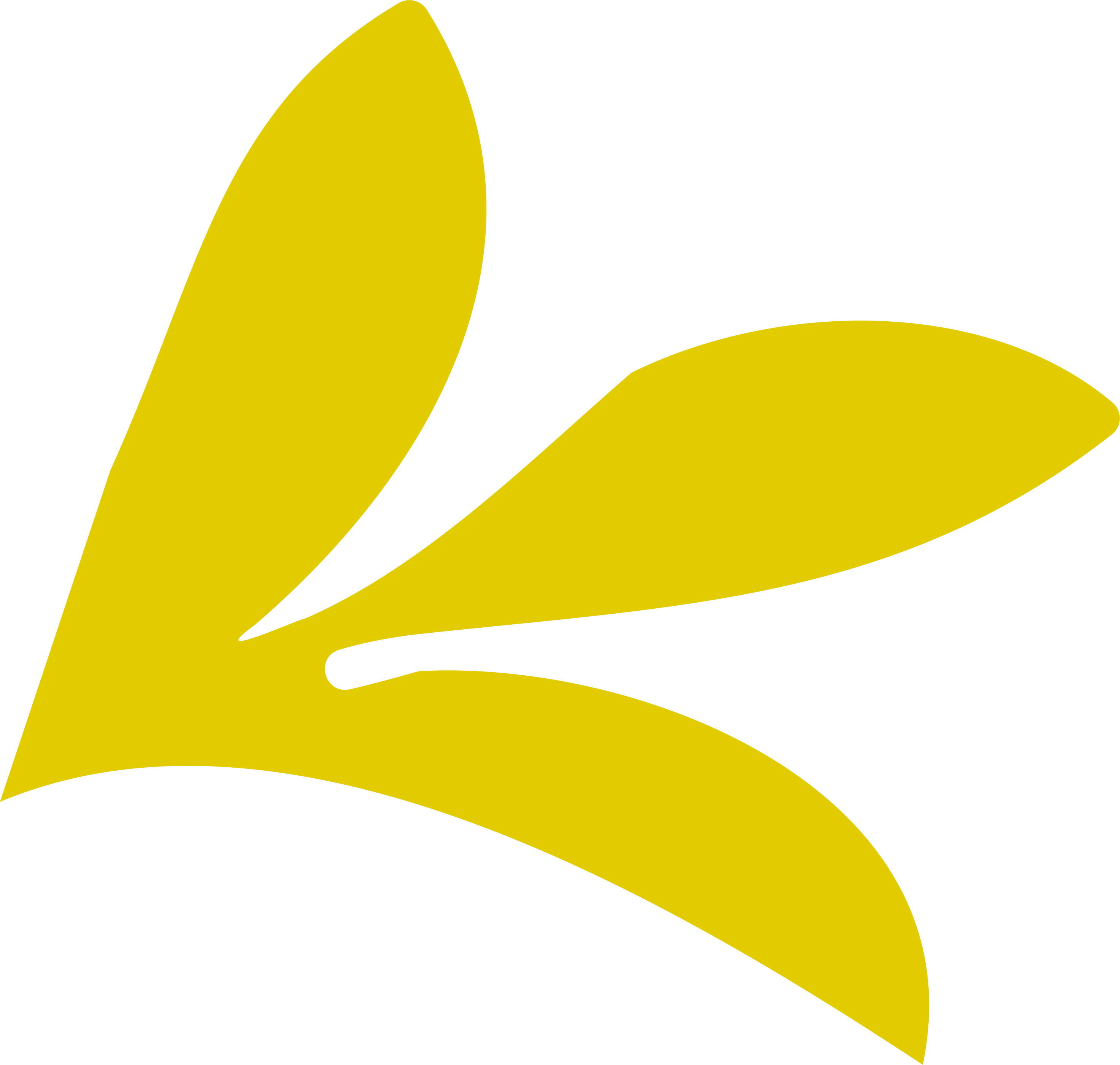 Flora de la región